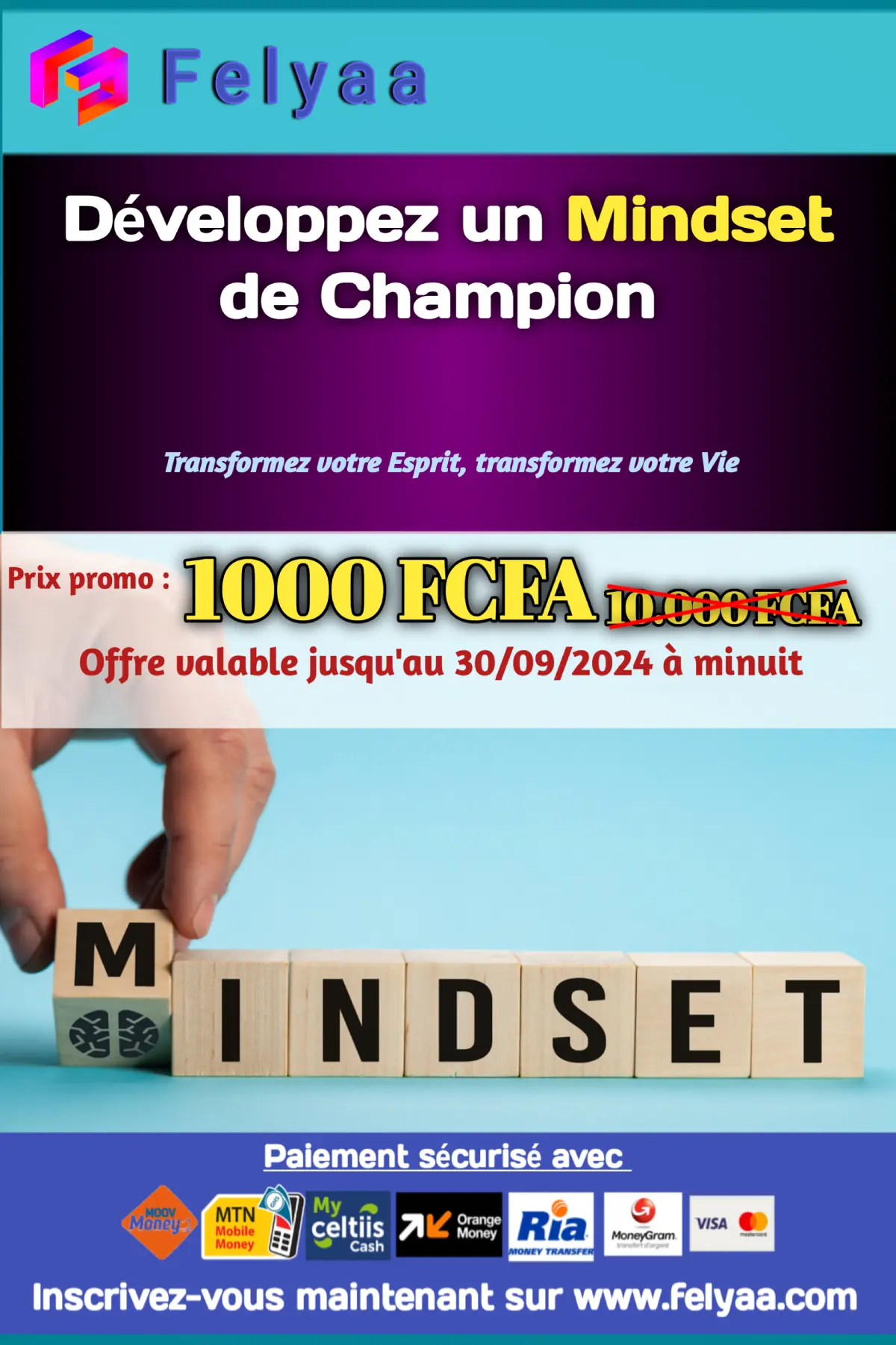 Formation sur Mindset